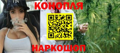 PSILOCYBIN Заводоуковск