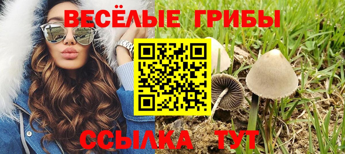 Галлюциногенные грибы Psilocybine cubensis Борисоглебск