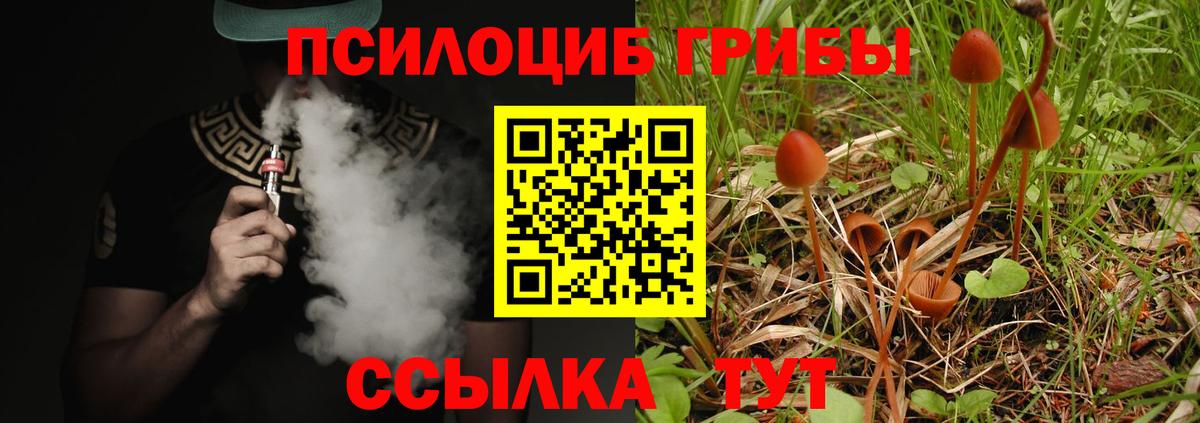наркотики  Галлюциногенные грибы Psilocybe  Галлюциногенные грибы GOLDEN TEACHER  Вход с VPN  Борисоглебск 